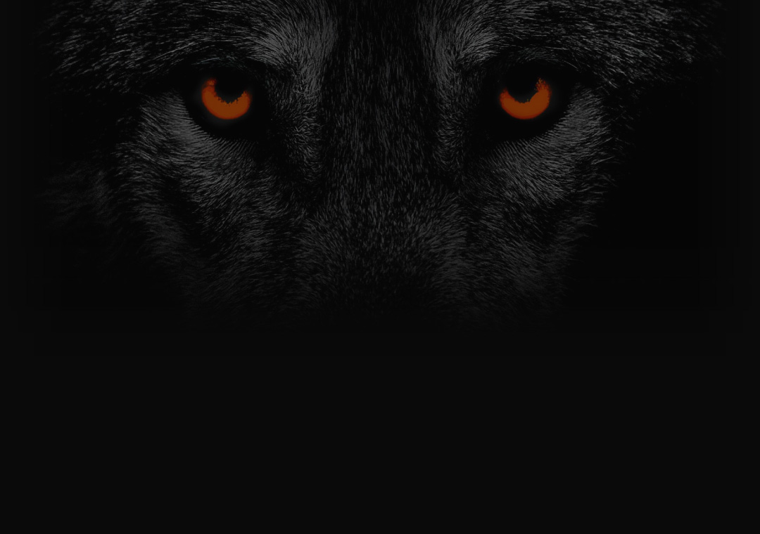 Nw Wolf Bg Home V2